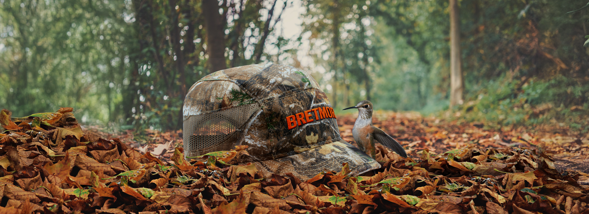 Background image of a cap with a leather patch on a post with hummingbirds hovering around it
